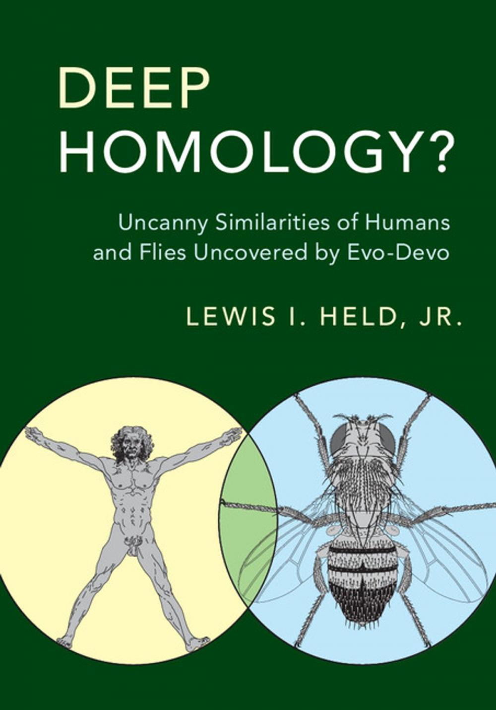 Big bigCover of Deep Homology?