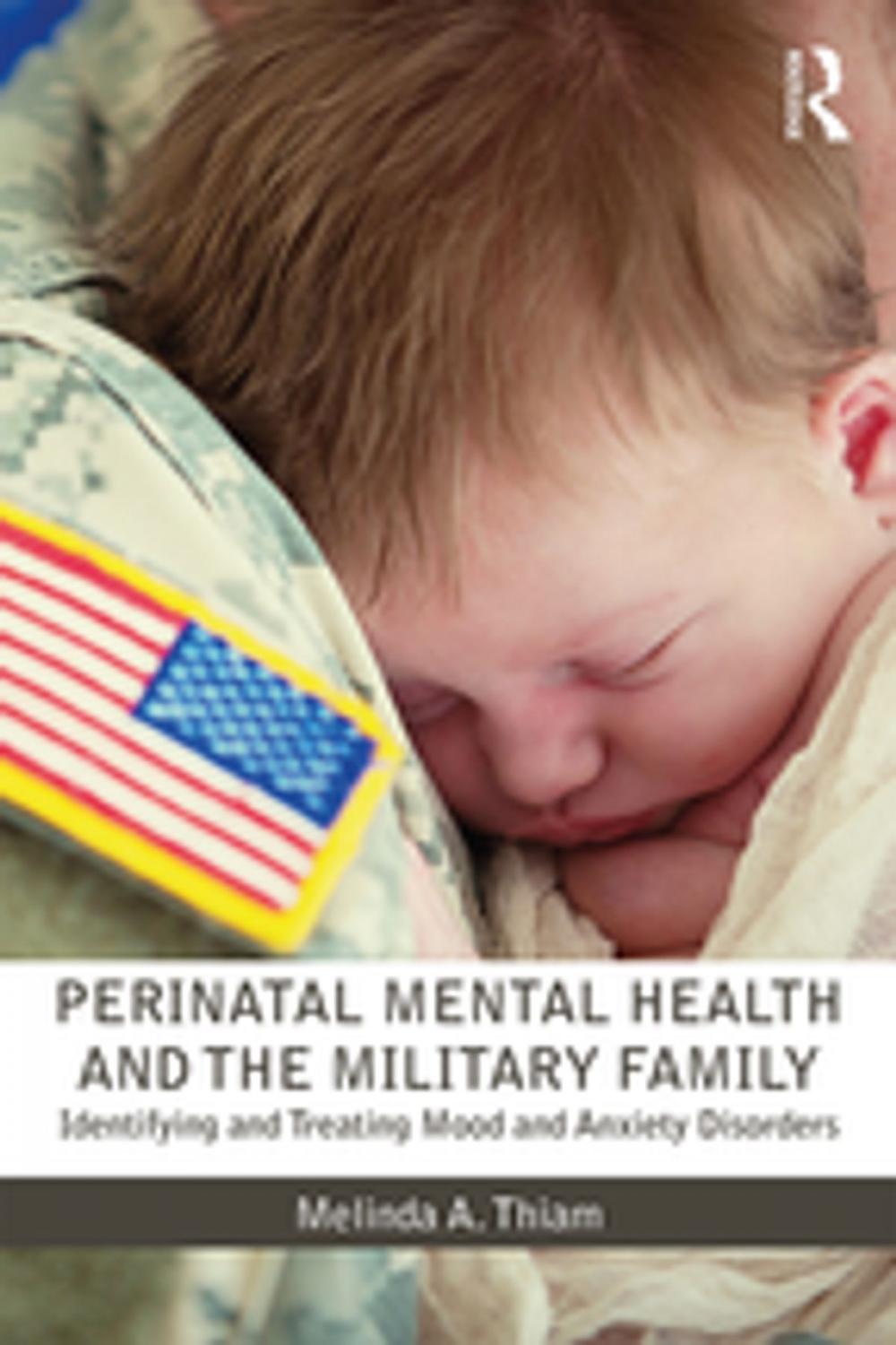 Big bigCover of Perinatal Mental Health and the Military Family