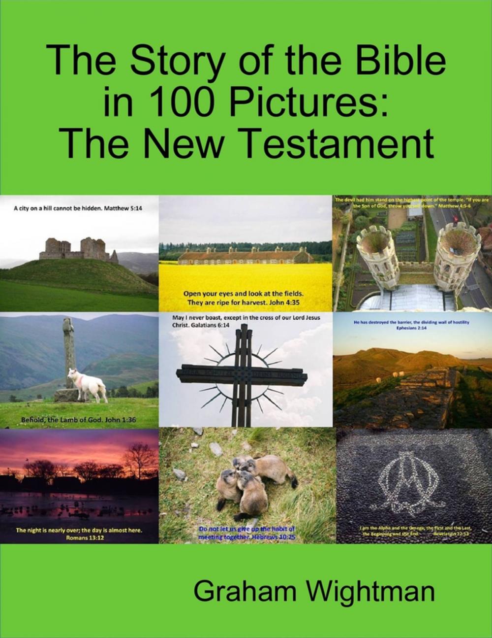 Big bigCover of The Story of the Bible In 100 Pictures: The New Testament