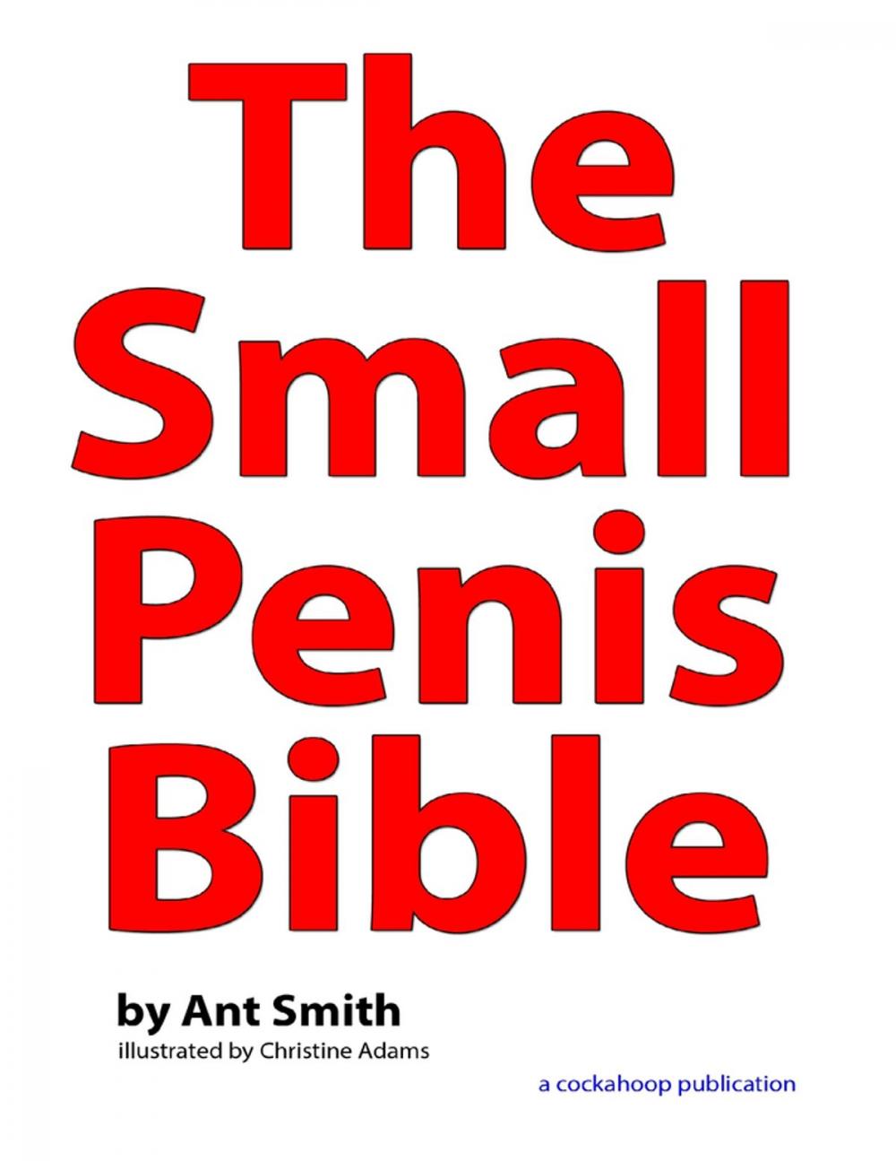 Big bigCover of The Small Penis Bible