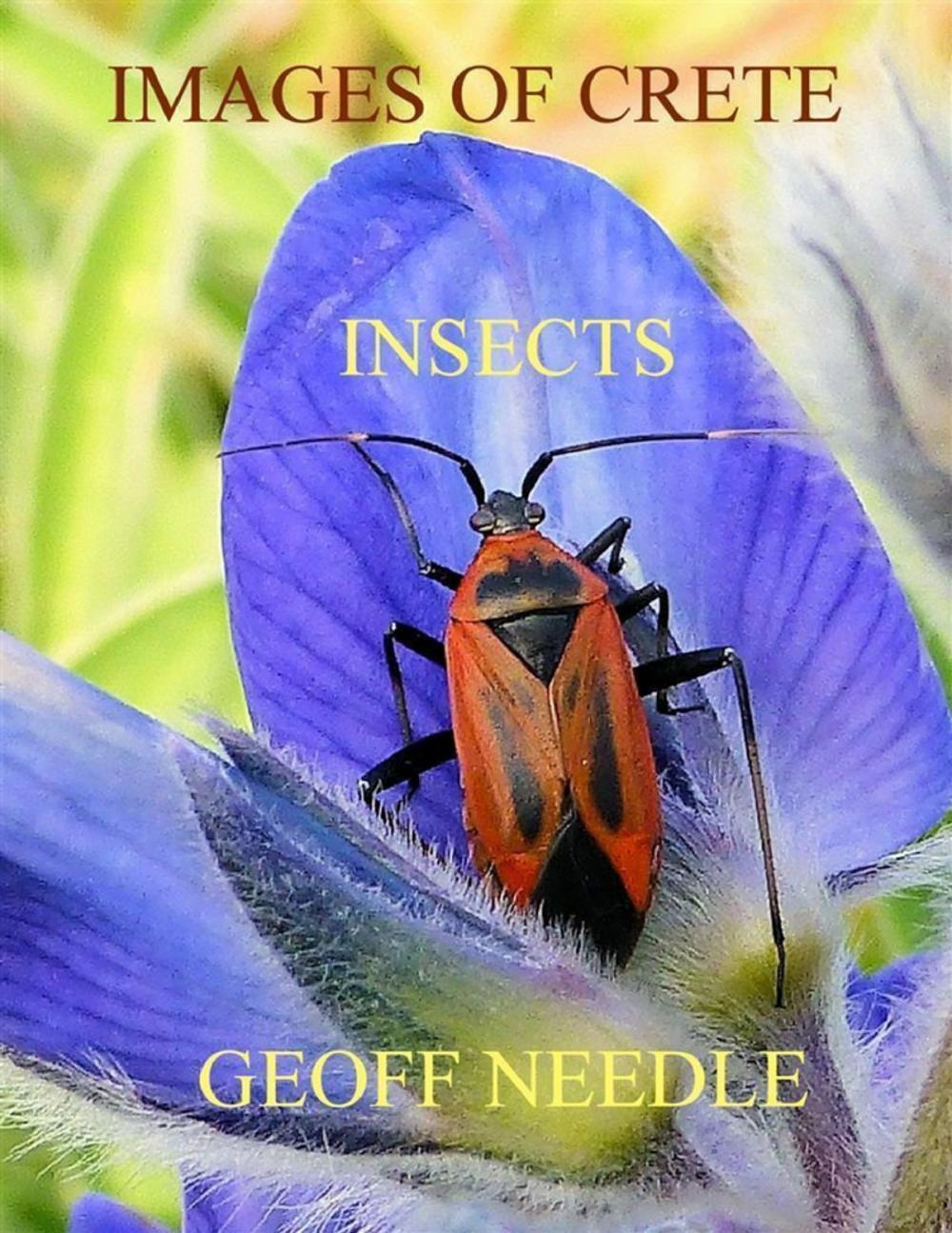 Big bigCover of Images of Crete - Insects