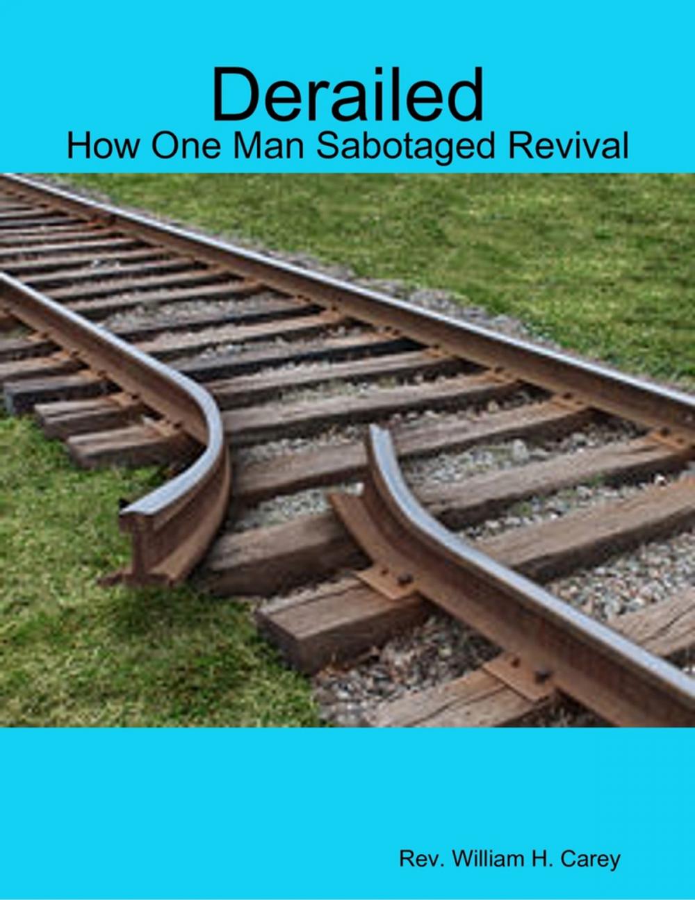 Big bigCover of Derailed: How One Man Sabotaged Revival