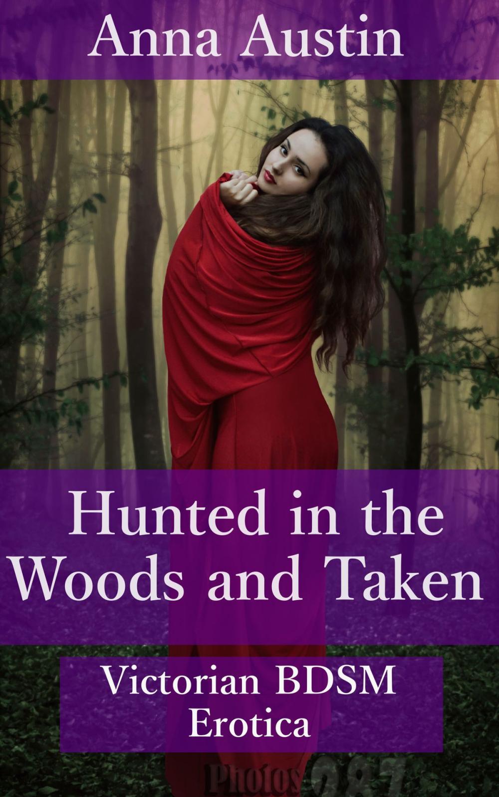 Big bigCover of Hunted in the Woods and Taken