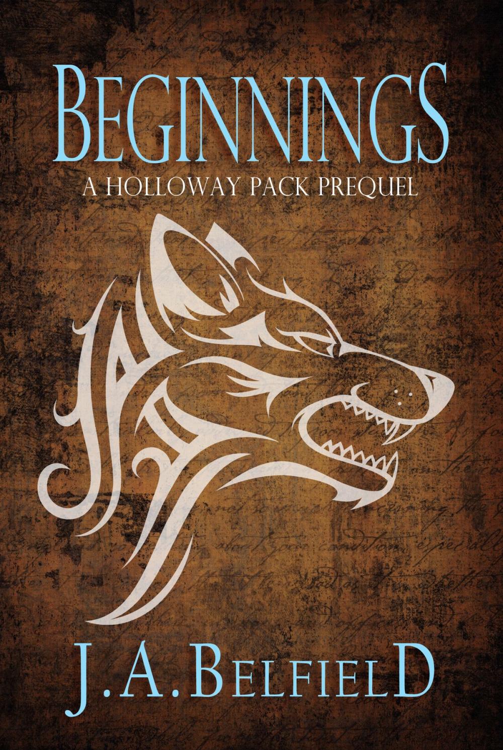 Big bigCover of Beginnings