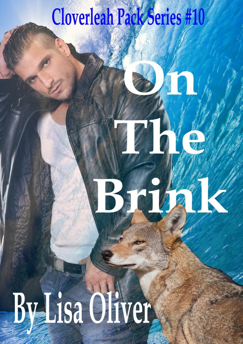 Big bigCover of On The Brink