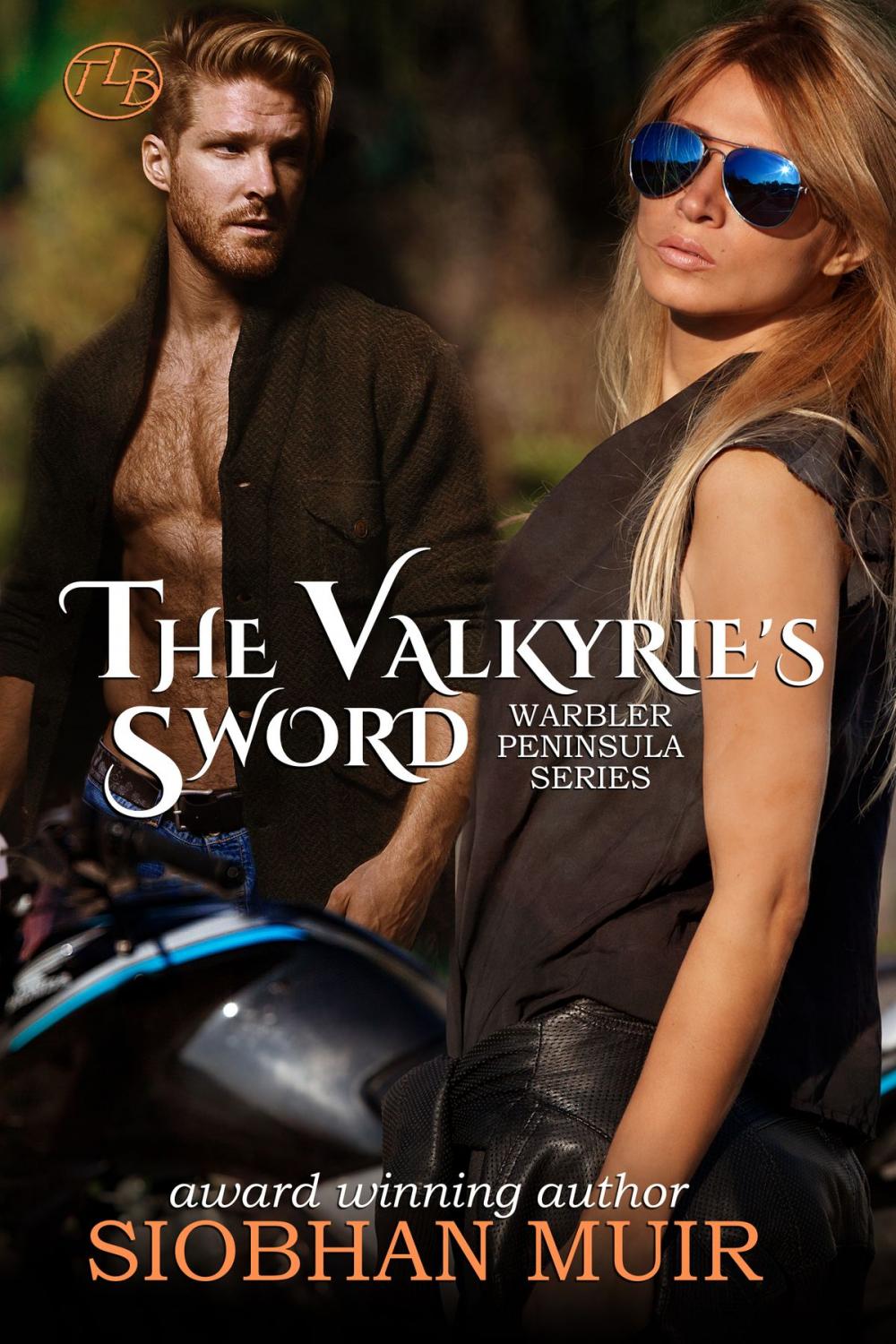 Big bigCover of The Valkyrie's Sword