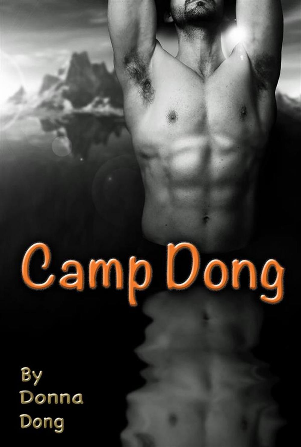 Big bigCover of Camp Dong