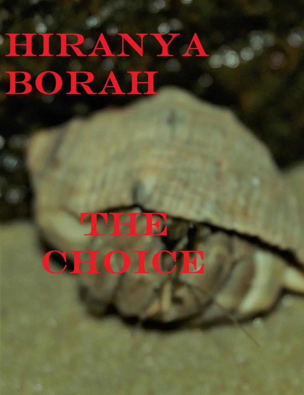 Big bigCover of The Choice