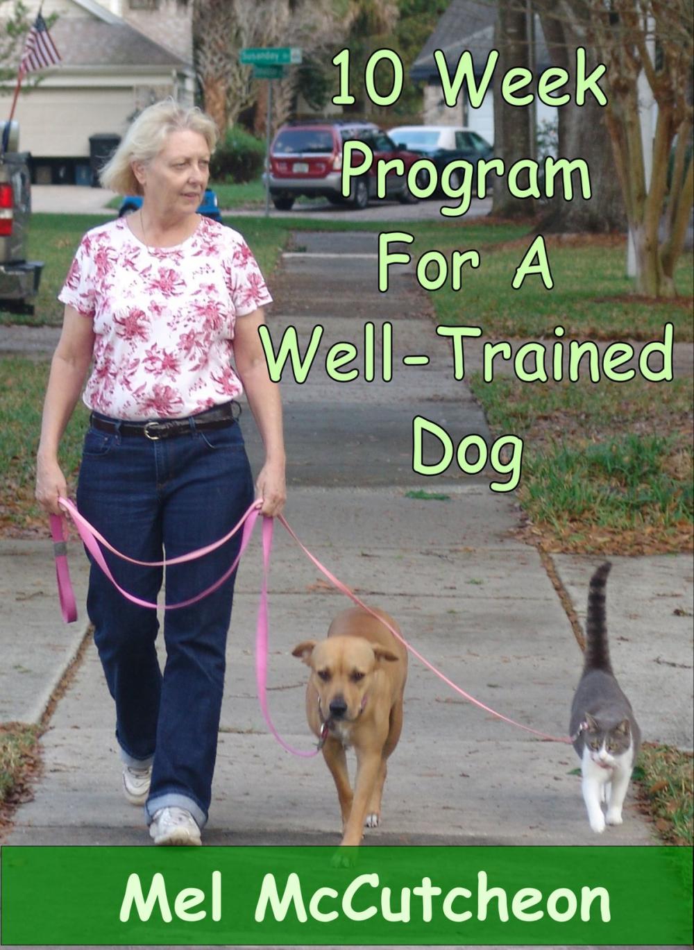 Big bigCover of 10 Week Program For A Well Trained Dog