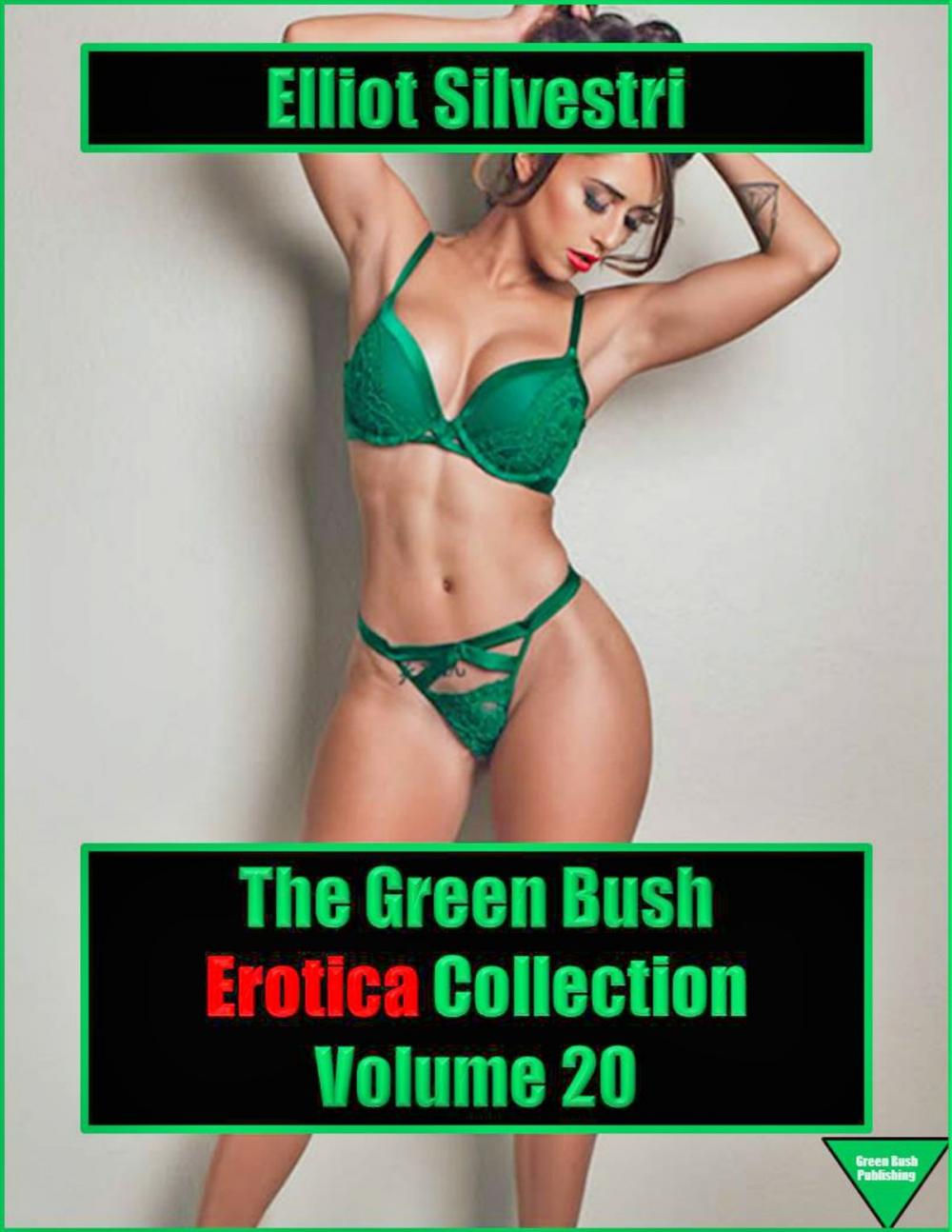 Big bigCover of The Green Bush Erotica Collection Volume 20