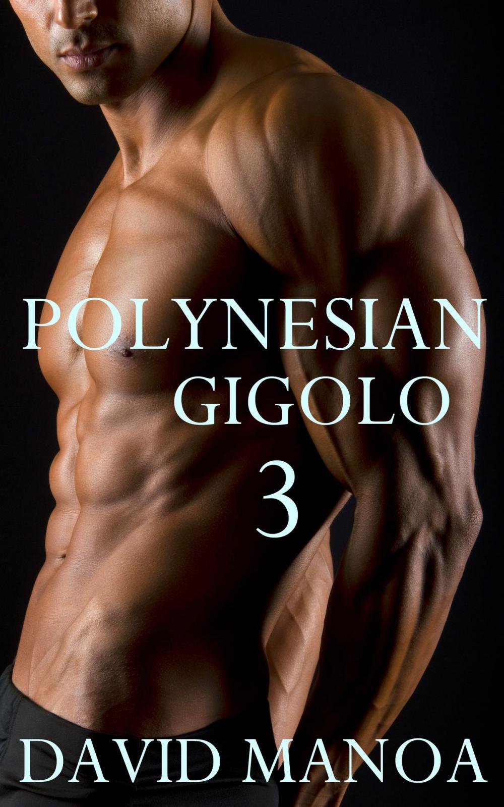 Big bigCover of Polynesian Gigolo 3