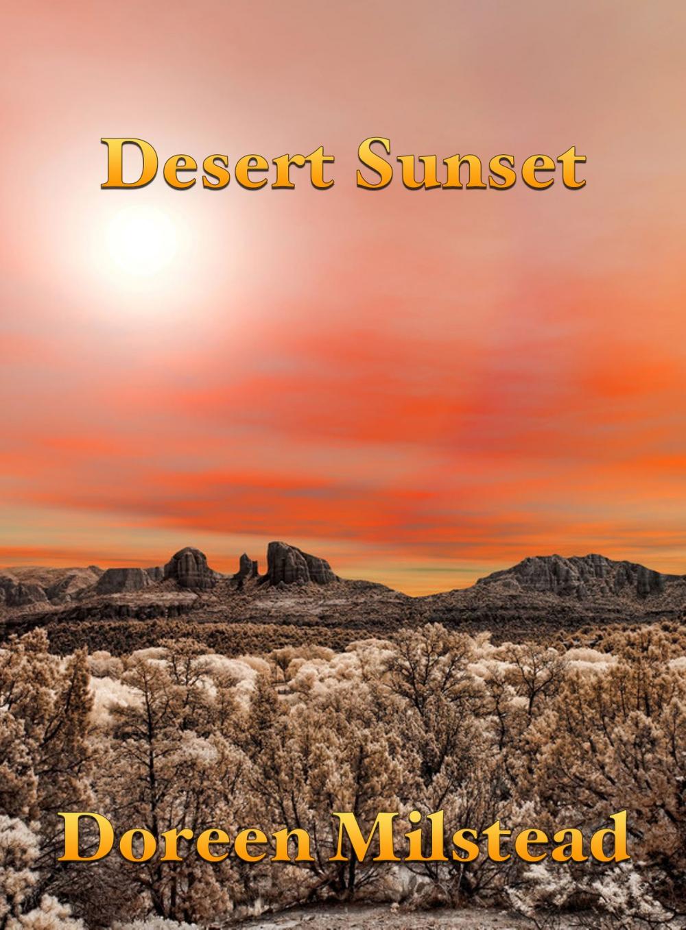 Big bigCover of Desert Sunset