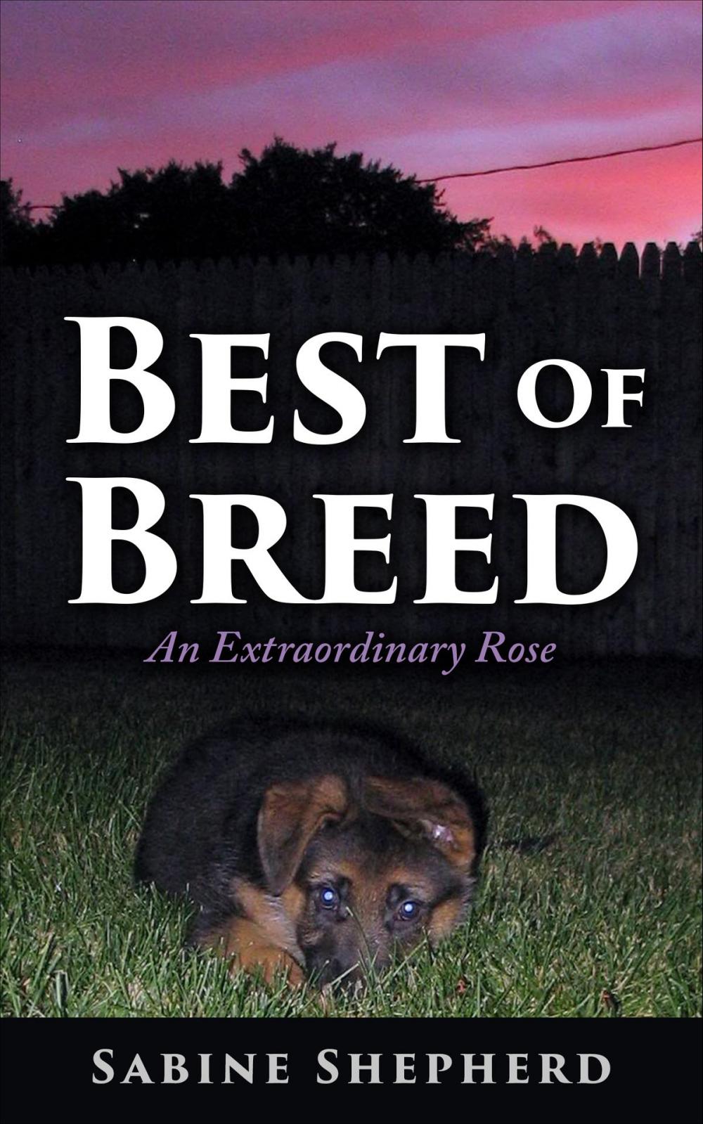 Big bigCover of Best of Breed an Extraordinary Rose