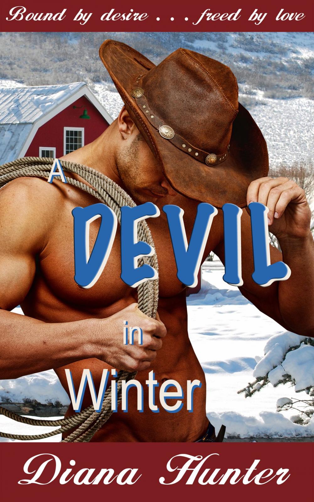 Big bigCover of A Devil in Winter