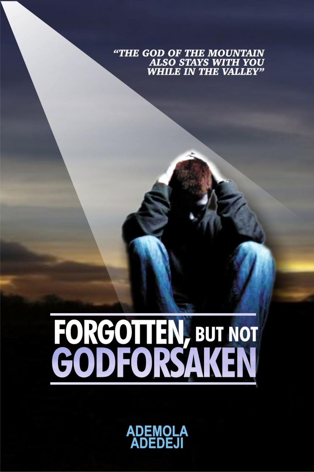 Big bigCover of Forgotten, But Not Godforsaken