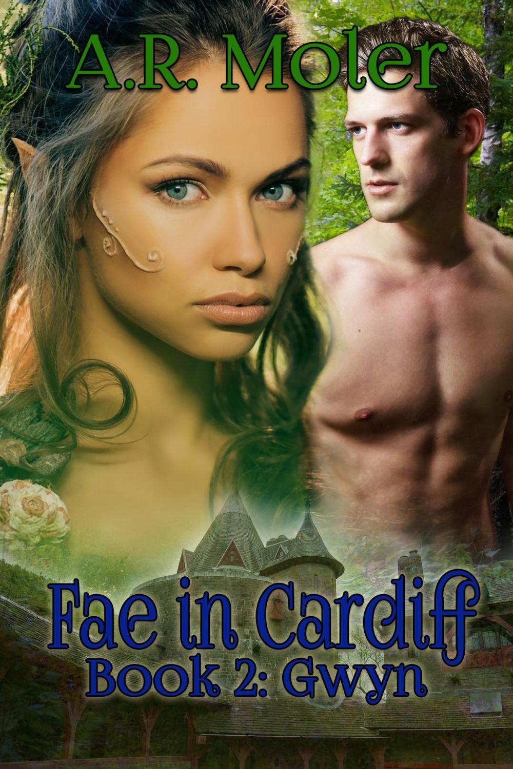 Big bigCover of Fae in Cardiff Book 2: Gwyn