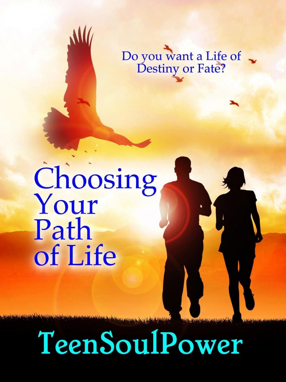 Big bigCover of Choosing Your Path of Life