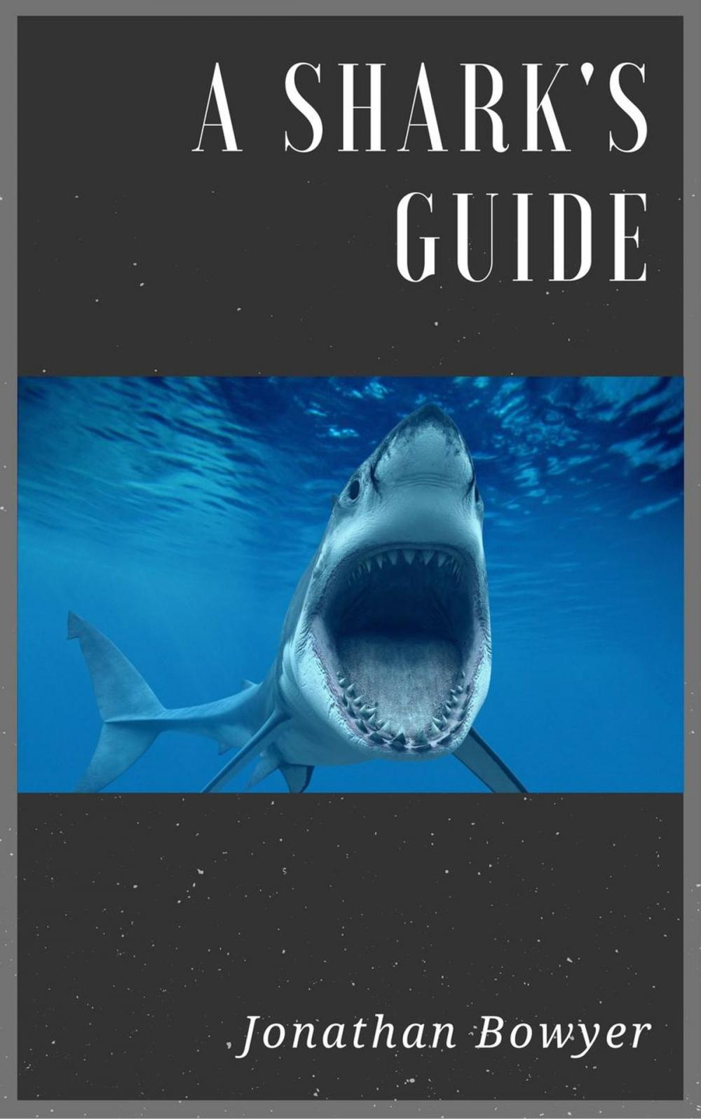 Big bigCover of A Shark's Guide