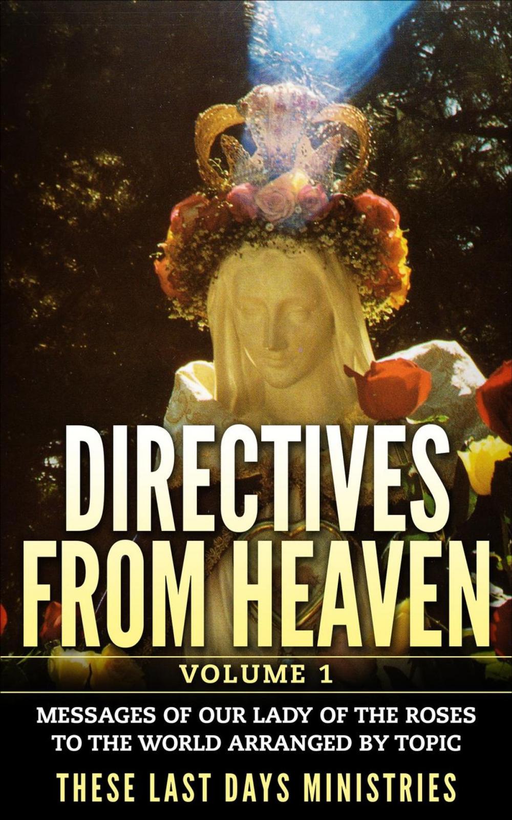 Big bigCover of Directives from Heaven - Volume 1