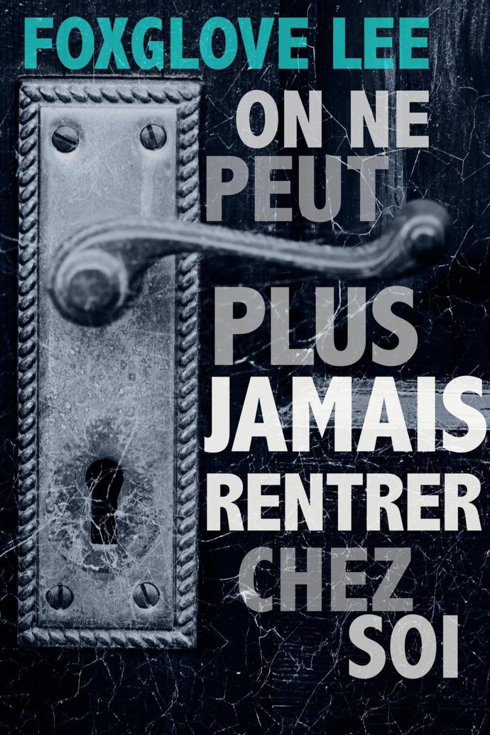 Big bigCover of On ne peut plus jamais rentrer chez soi