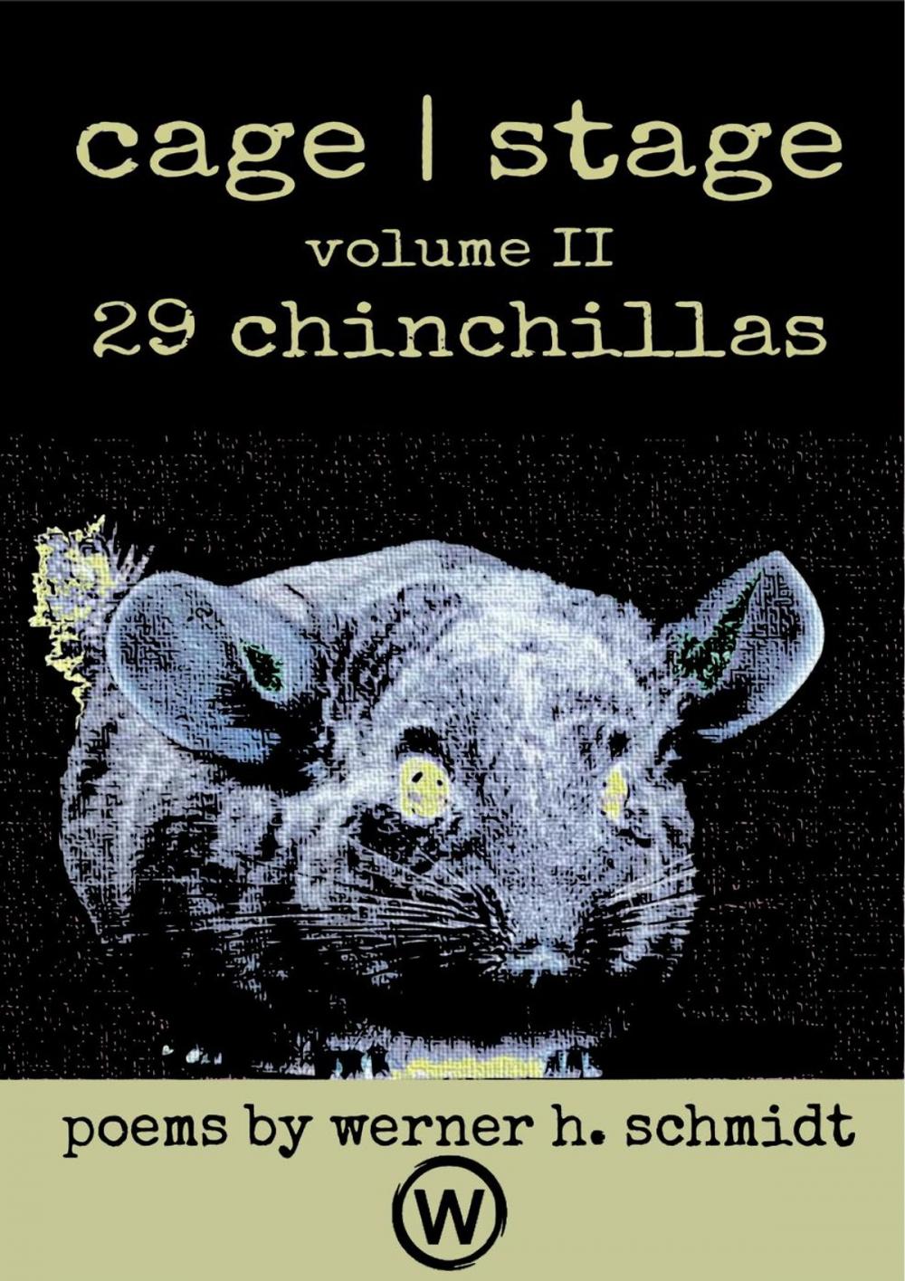 Big bigCover of 29 Chinchillas