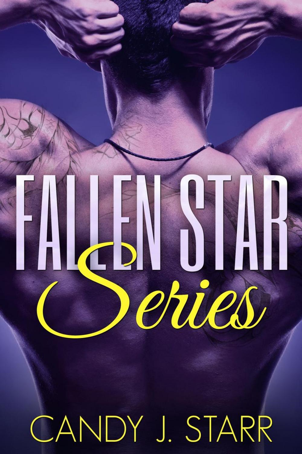 Big bigCover of Fallen Star Series