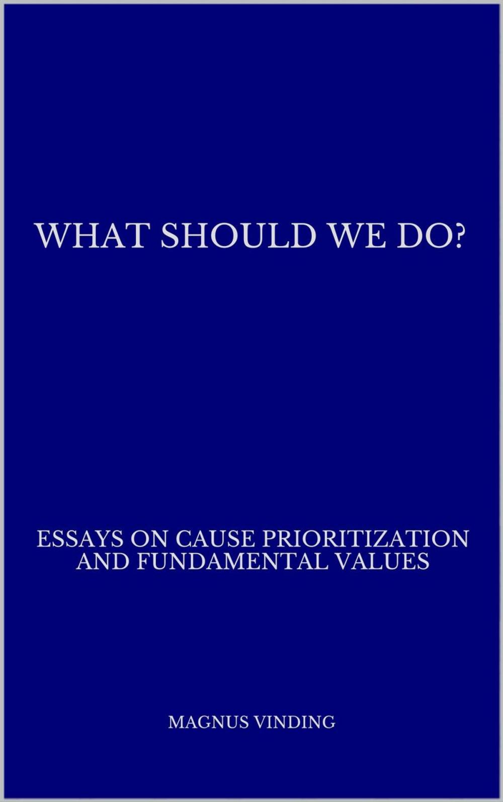 Big bigCover of What Should We Do?: Essays on Cause Prioritization and Fundamental Values