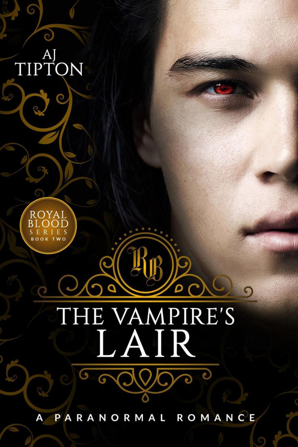 Big bigCover of The Vampire's Lair: A Paranormal Romance