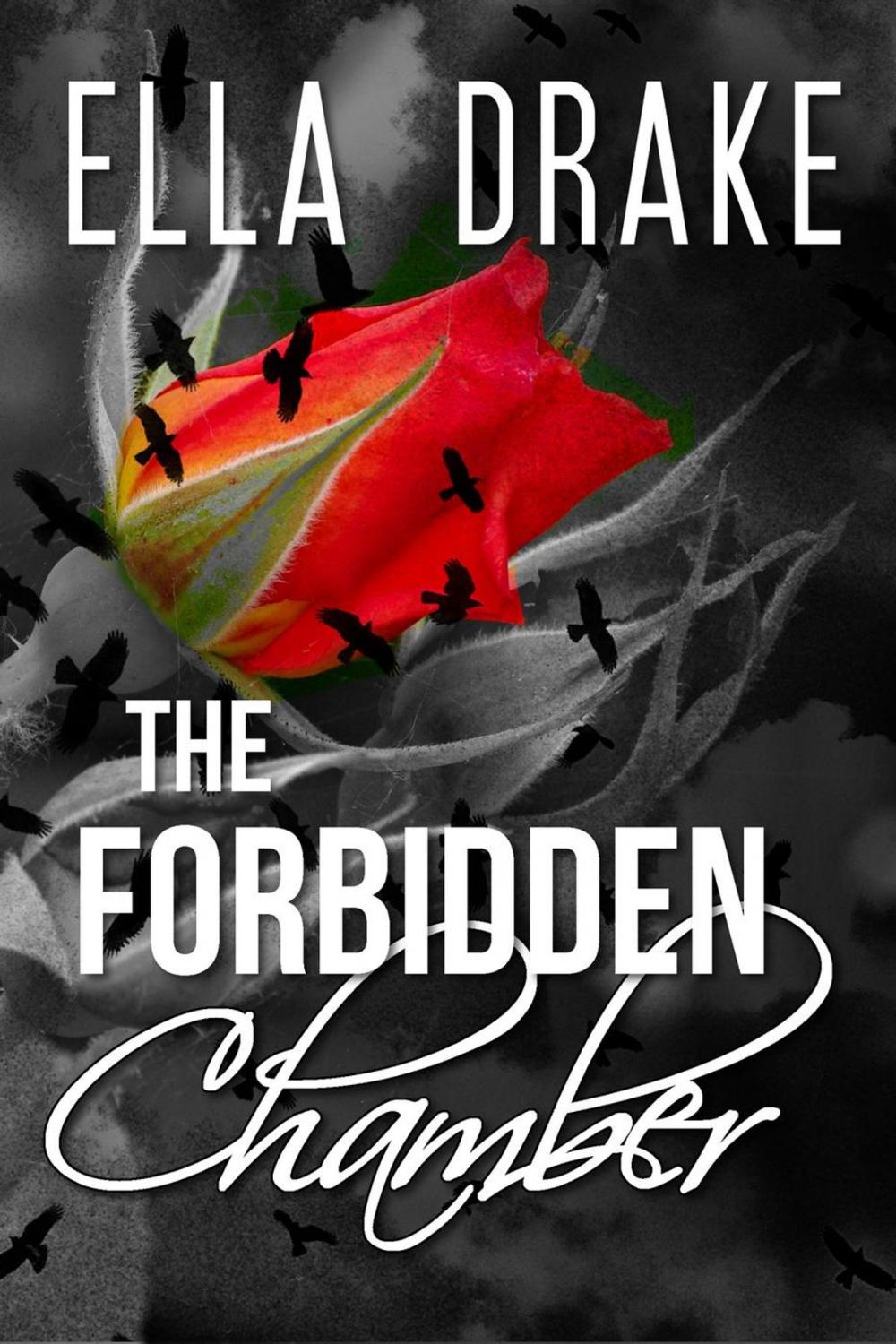 Big bigCover of The Forbidden Chamber