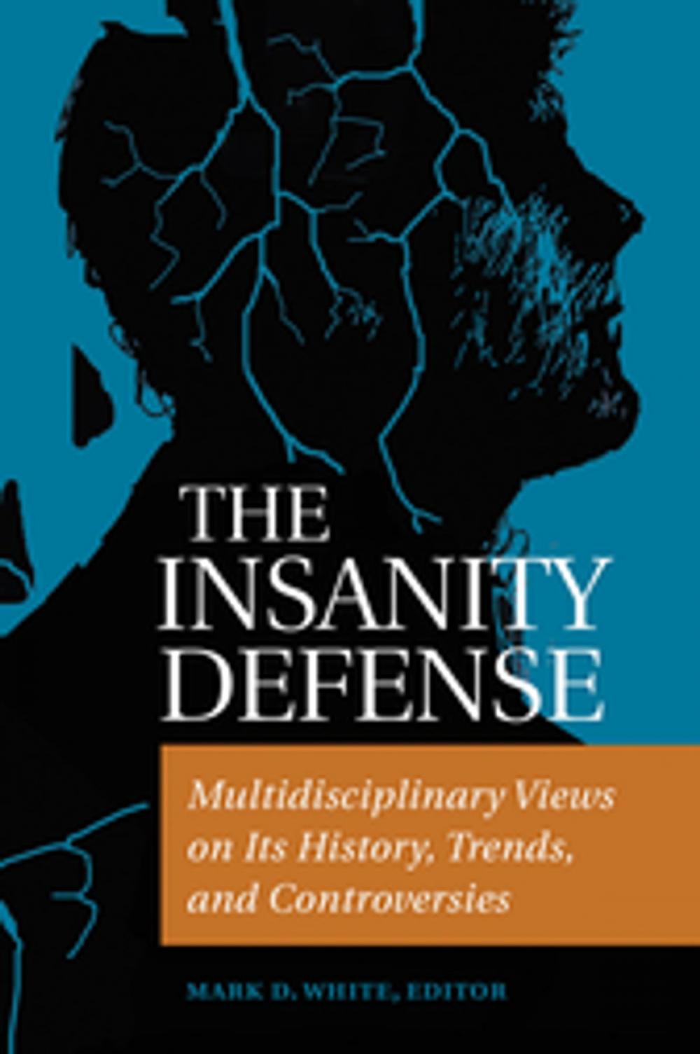 Big bigCover of The Insanity Defense: Multidisciplinary Views on its History, Trends, and Controversies