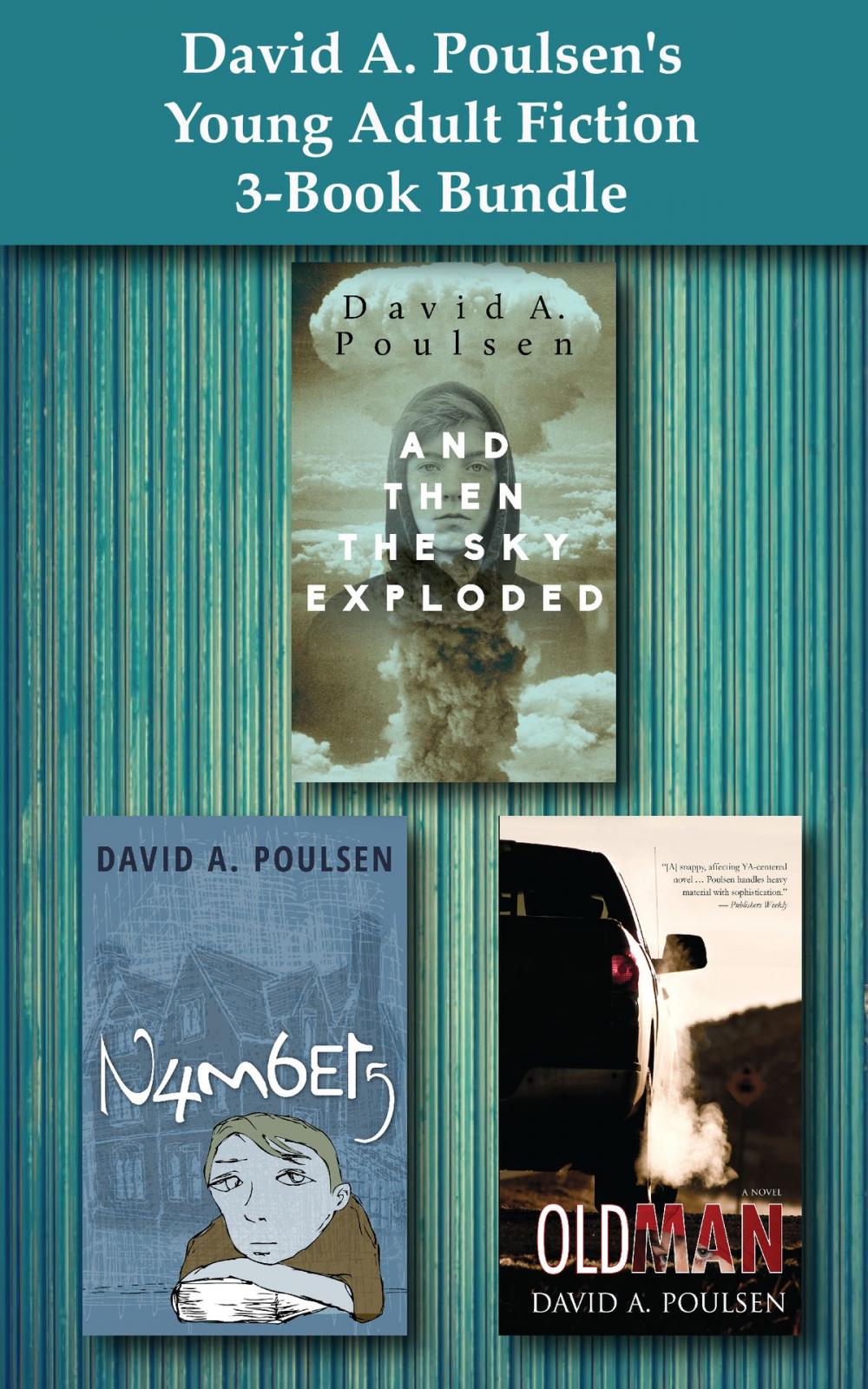 Big bigCover of David A. Poulsen's Young Adult Fiction 3-Book Bundle