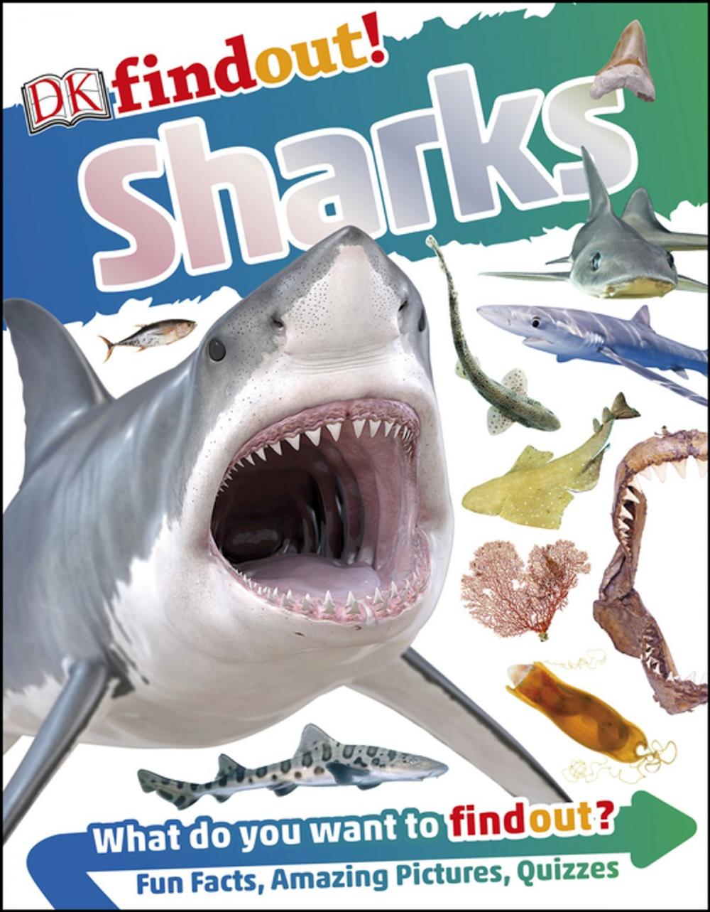 Big bigCover of DKfindout! Sharks