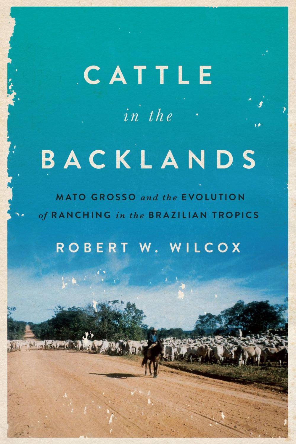 Big bigCover of Cattle in the Backlands