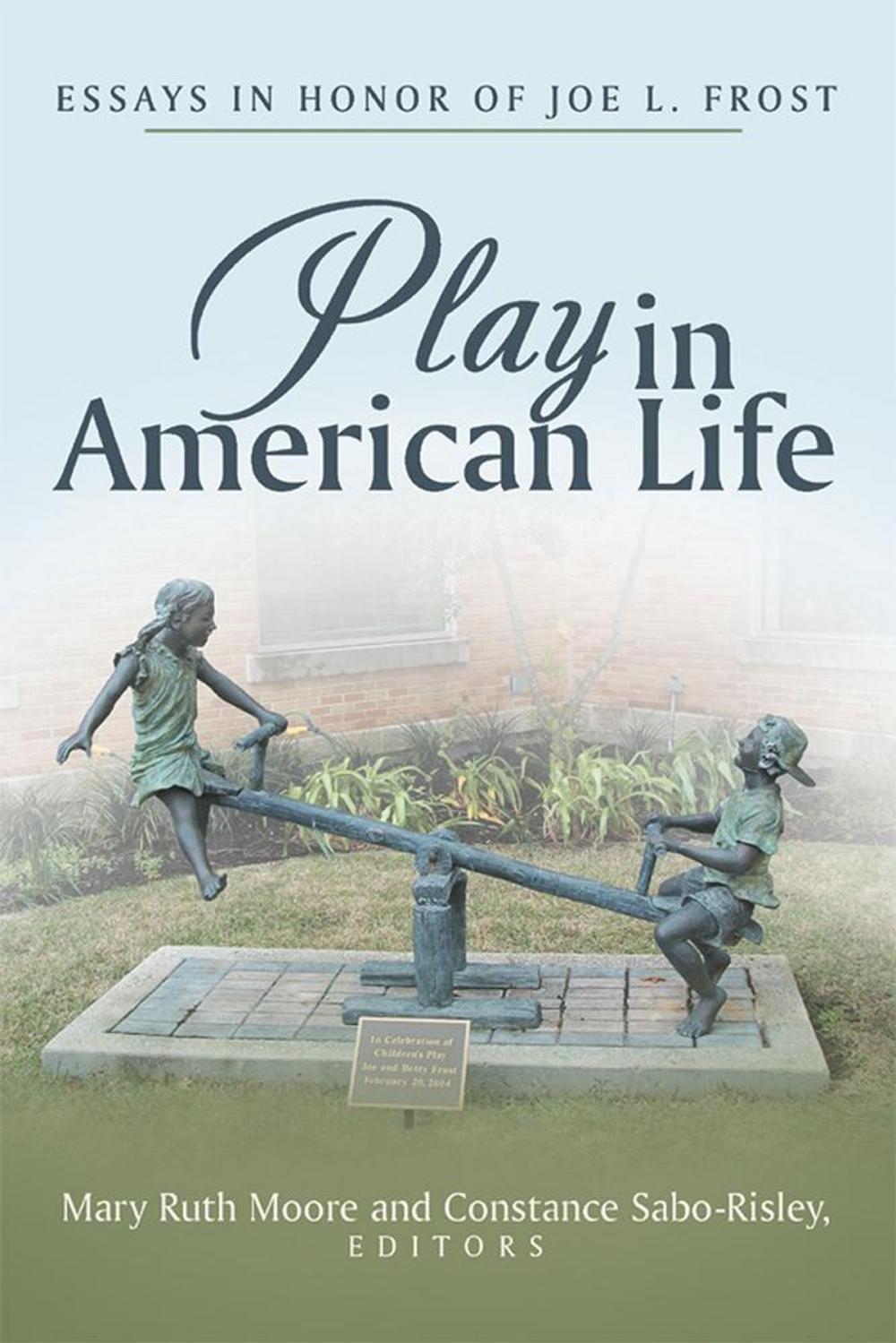 Big bigCover of Play in American Life