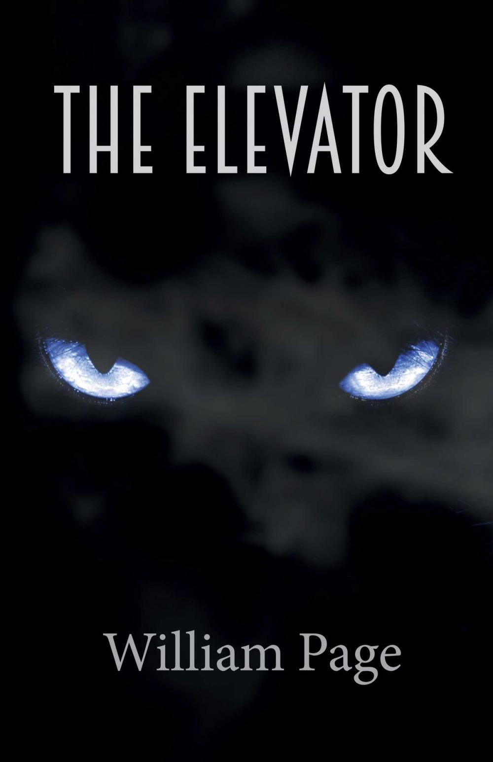 Big bigCover of The Elevator