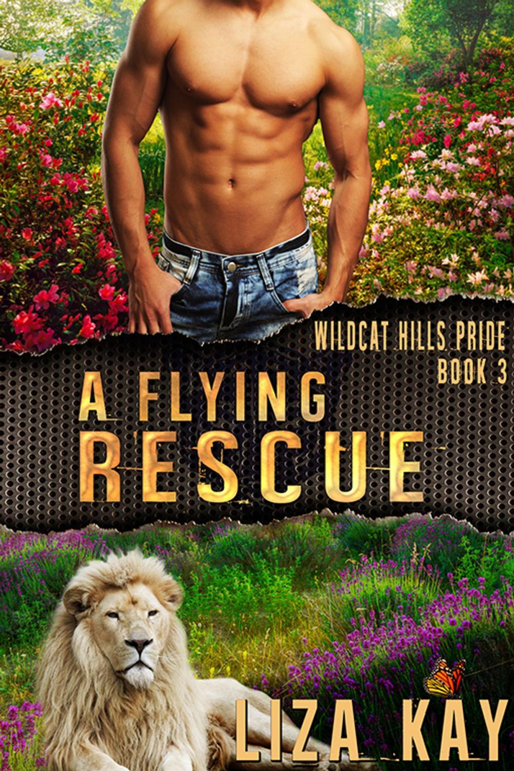 Big bigCover of A Flying Rescue