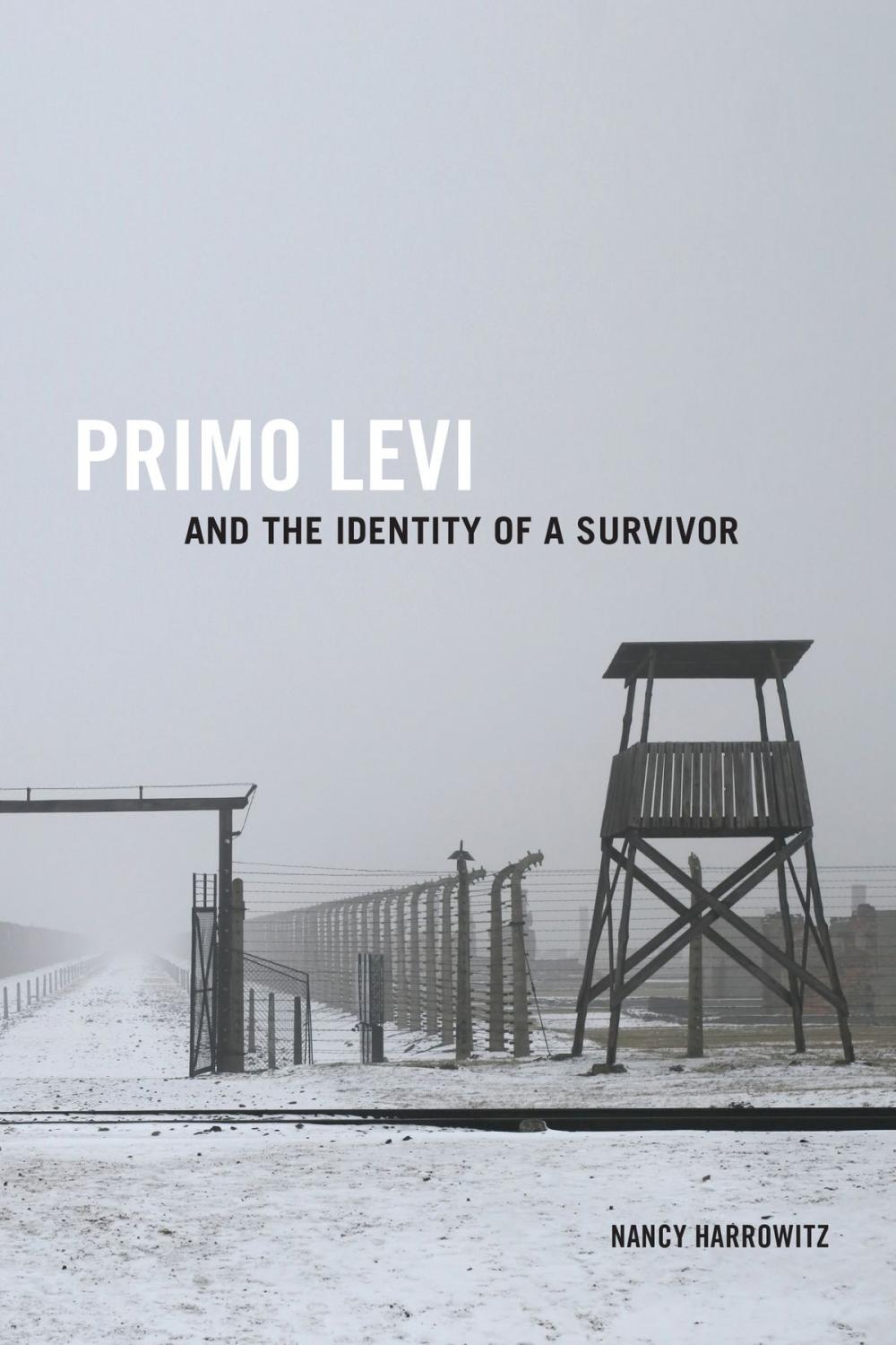 Big bigCover of Primo Levi and the Identity of a Survivor