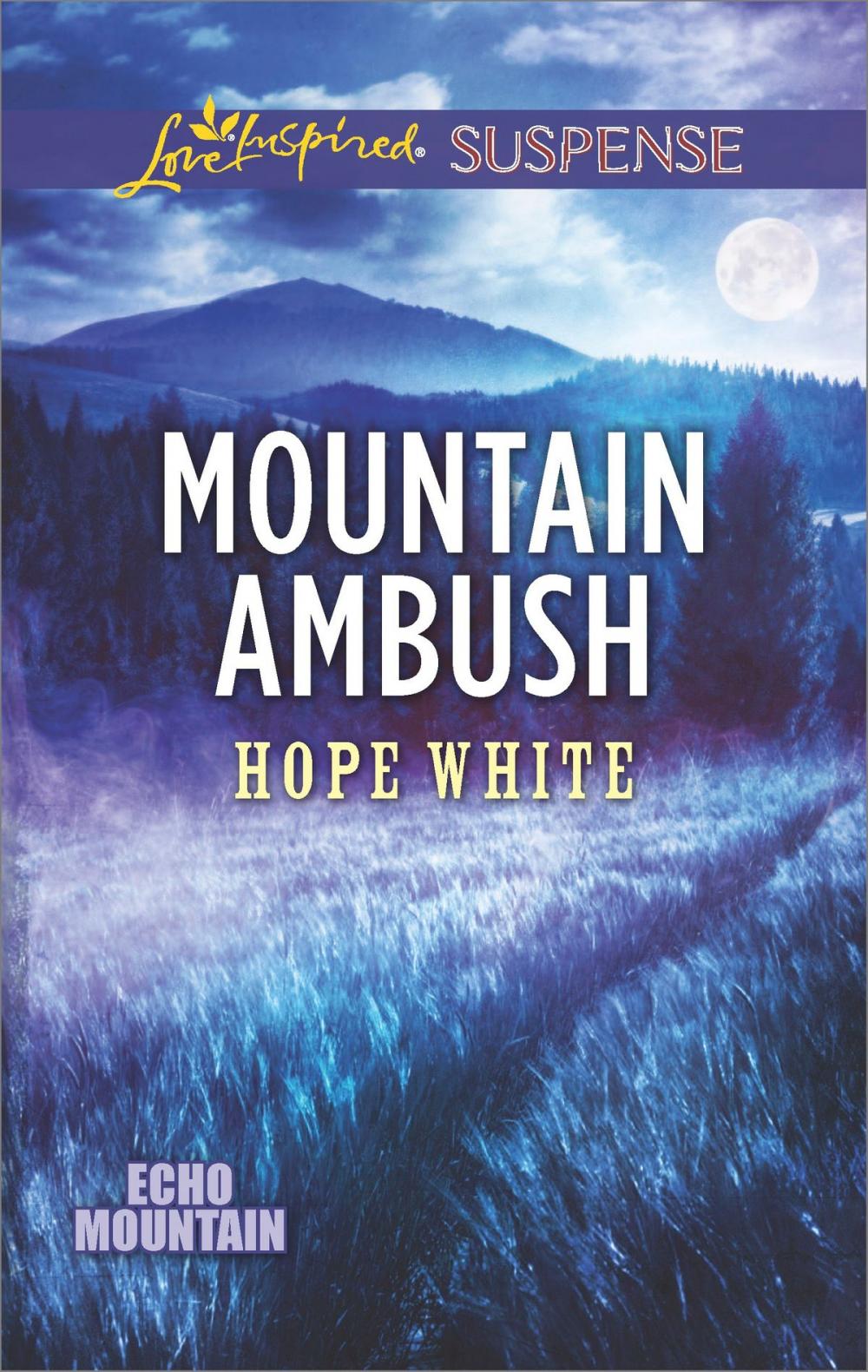 Big bigCover of Mountain Ambush