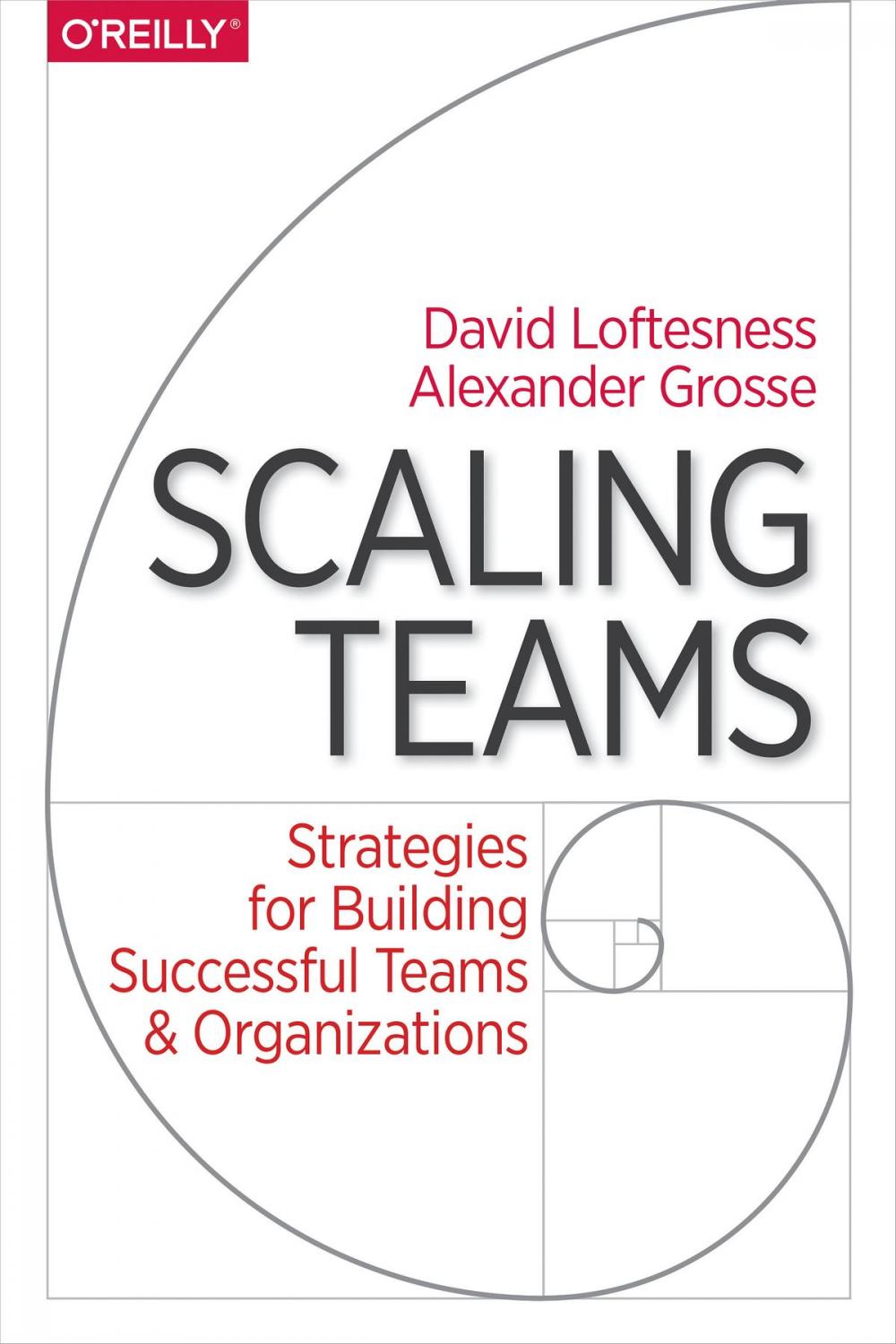 Big bigCover of Scaling Teams