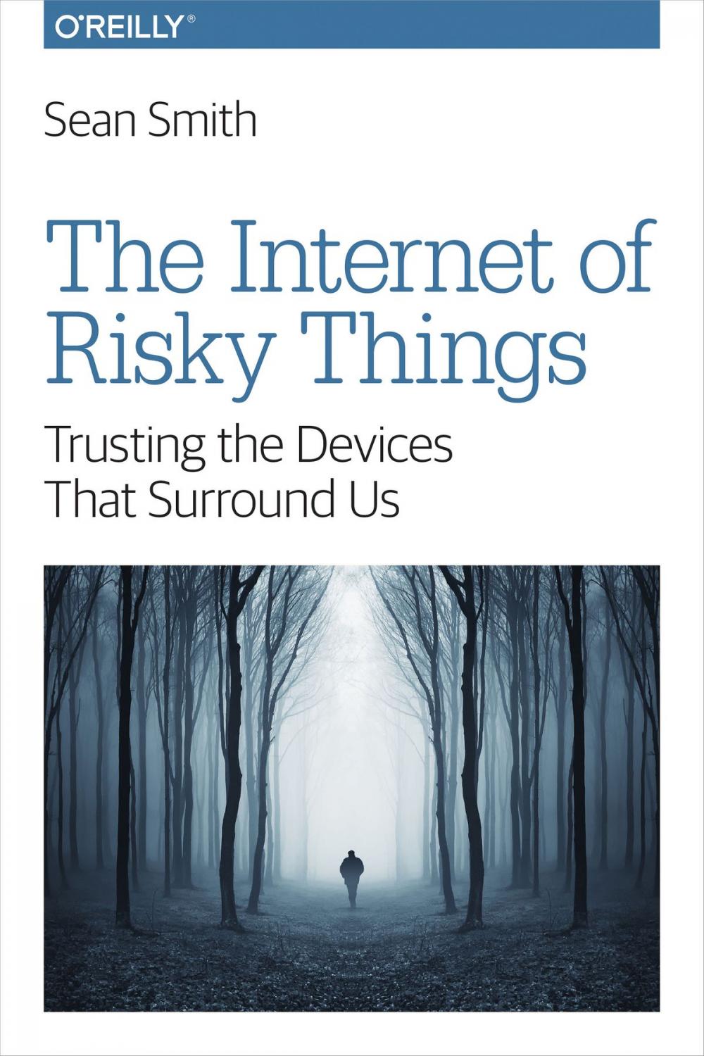 Big bigCover of The Internet of Risky Things