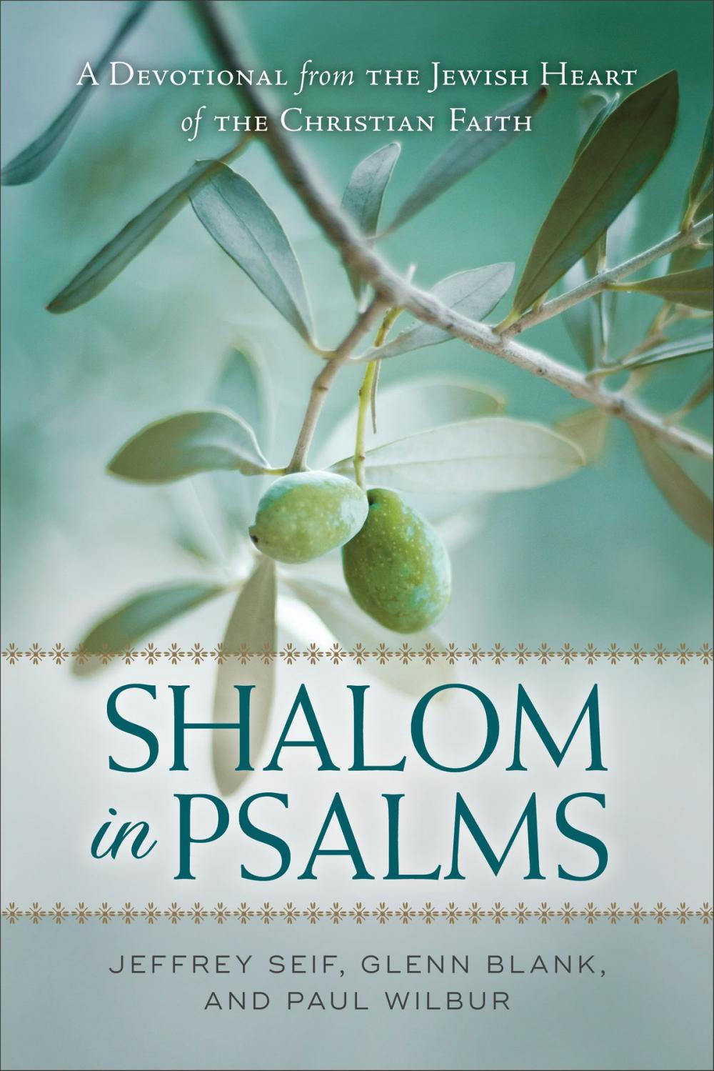 Big bigCover of Shalom in Psalms