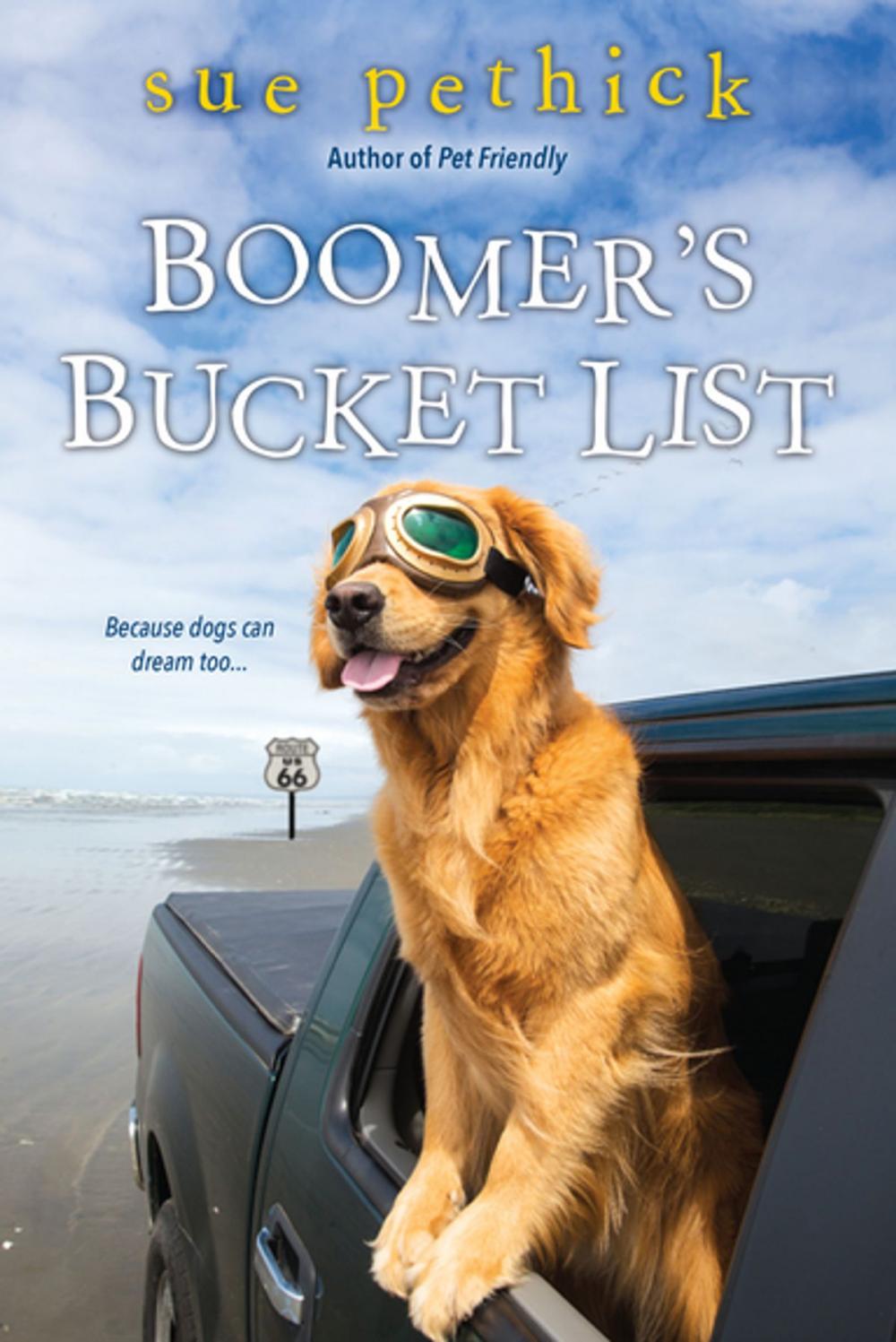 Big bigCover of Boomer's Bucket List