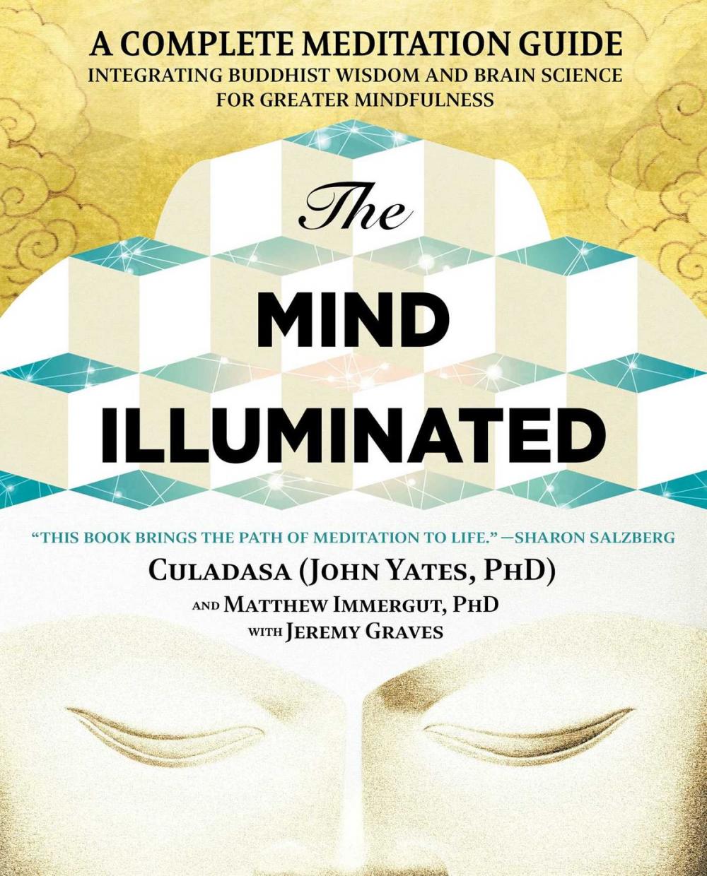 Big bigCover of The Mind Illuminated