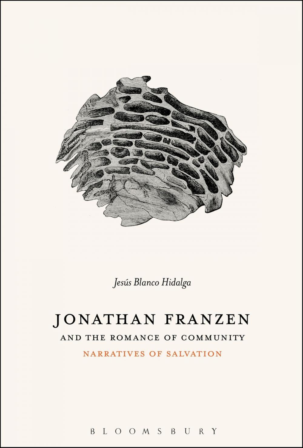 Big bigCover of Jonathan Franzen and the Romance of Community