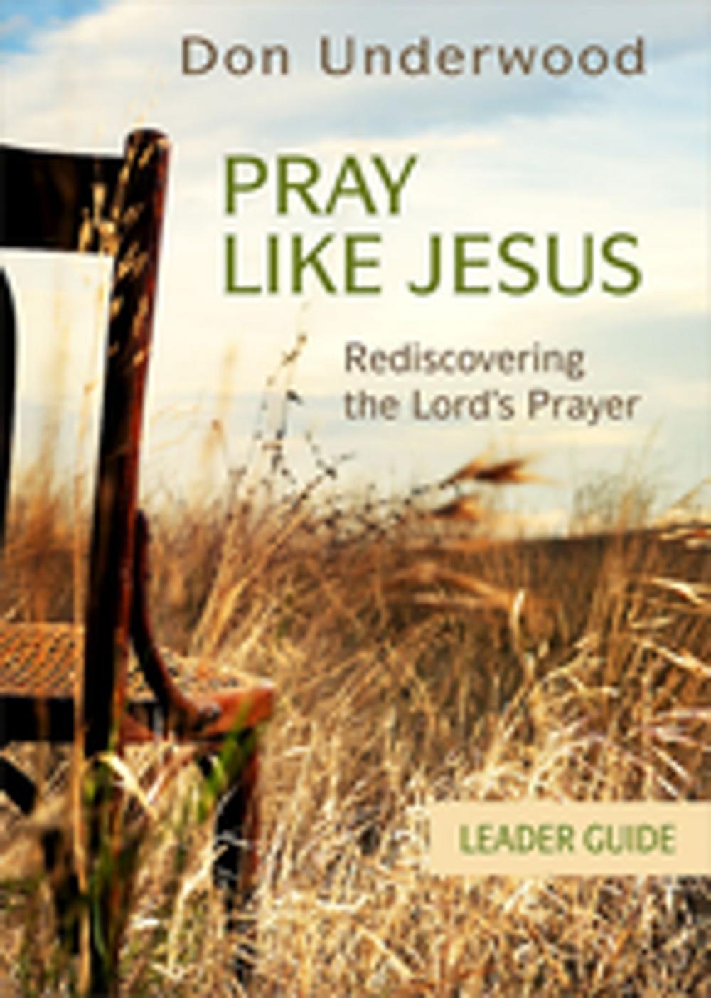 Big bigCover of Pray Like Jesus Leader Guide