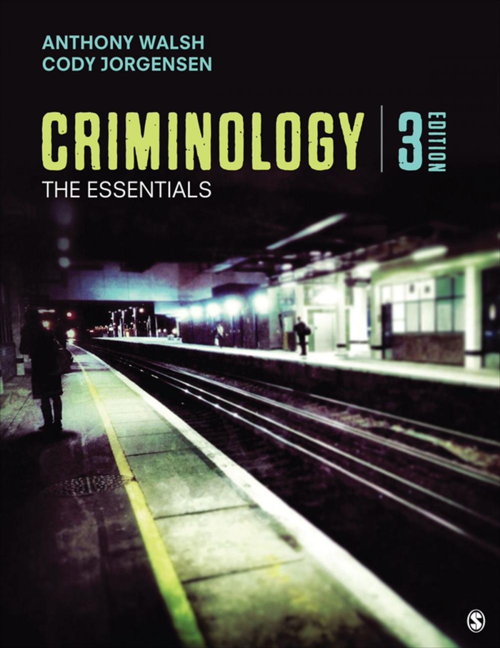 Big bigCover of Criminology