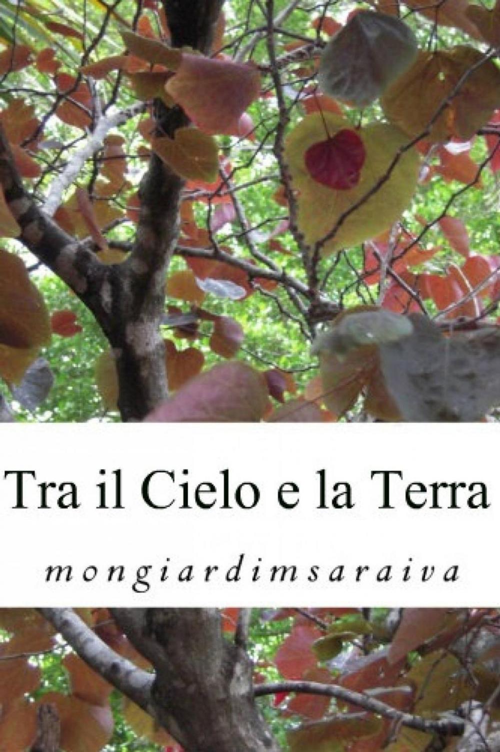 Big bigCover of Tra il Cielo e la Terra