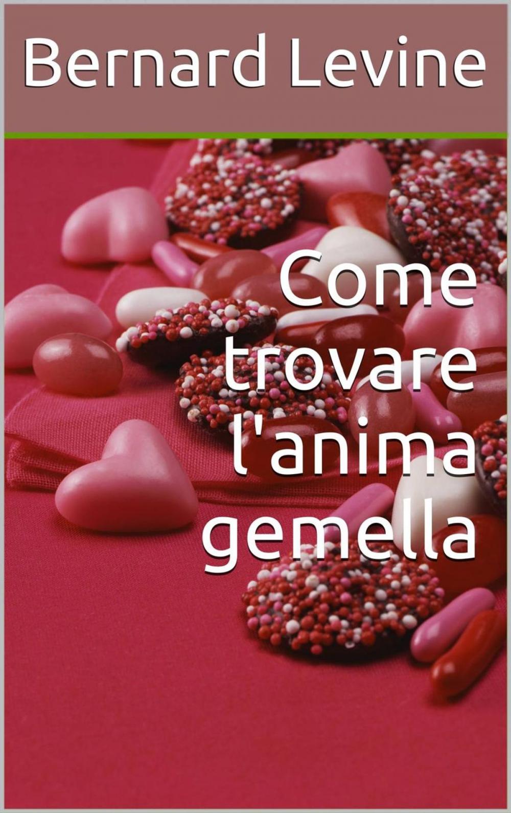 Big bigCover of Come trovare l'anima gemella