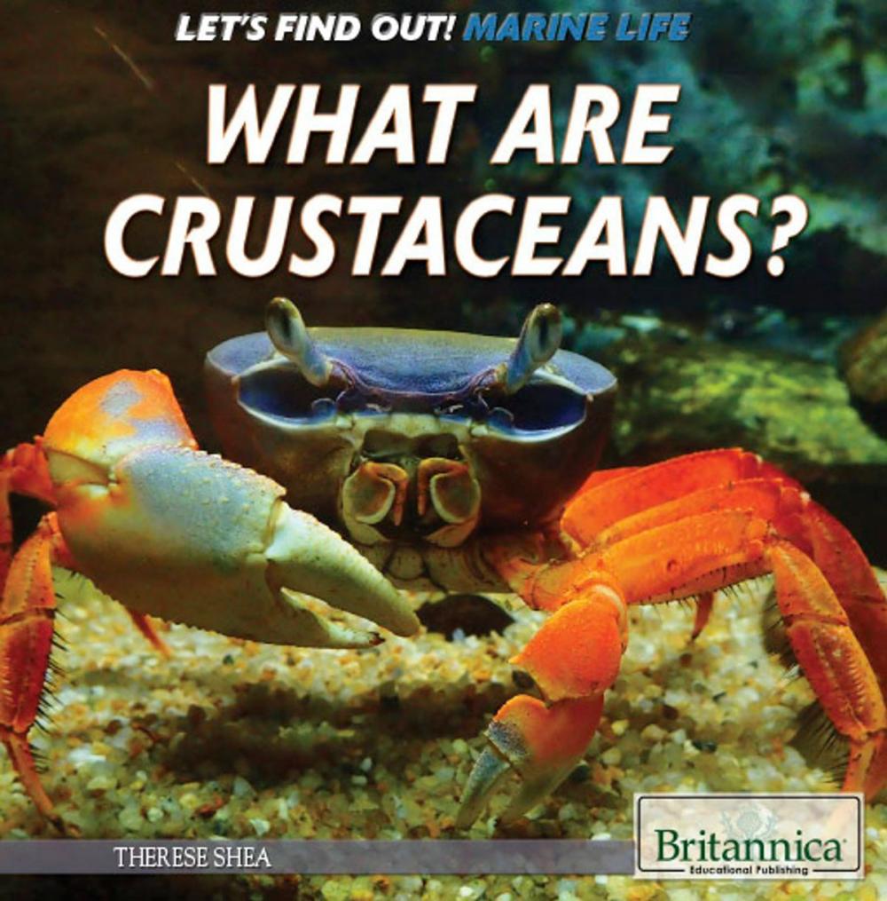 Big bigCover of What Are Crustaceans?