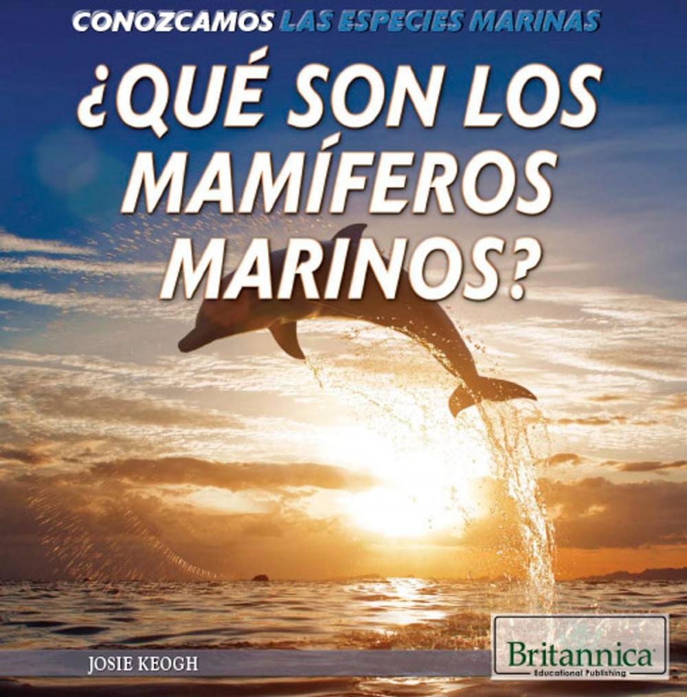 Big bigCover of ¿Qué son los mamíferos marinos? (What Are Sea Mammals?)